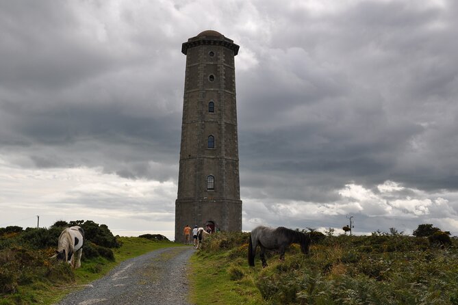 Day Tour from Dublin to Wicklow: Cliffs, Heritage, Wildlife, Gaol - Who this tour fits best (and who should skip it)