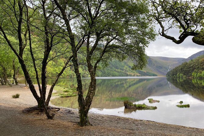 Day Tour from Dublin: Wicklow Mountains, Glendalough, Powerscourt - Powerscourt House and Gardens, the estate that makes time feel slower