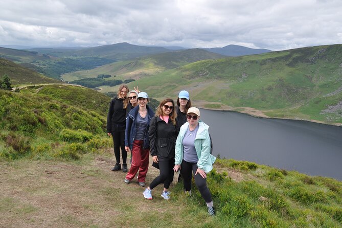 Day Tour from Dublin: Wicklow Mountains, Glendalough, Powerscourt - The value of private driving, comfort plus control