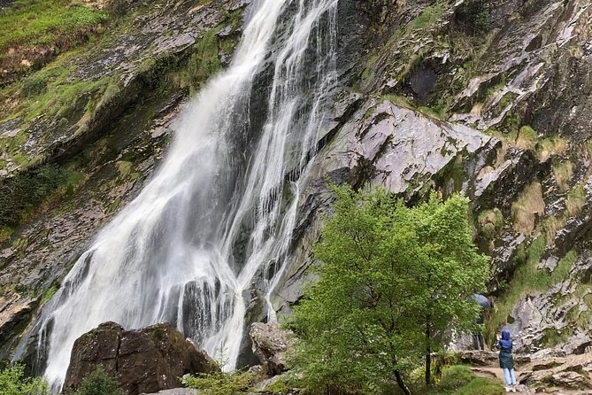 Day Tour from Dublin: Wicklow Mountains, Glendalough, Powerscourt - What to expect for timing and walking