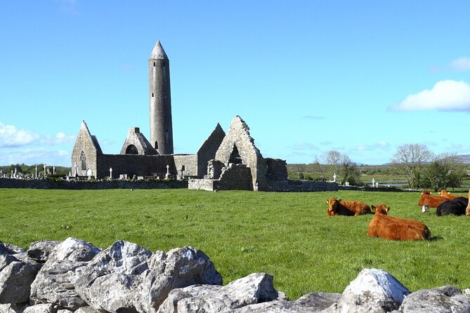 Day trip to Cliffs of Moher & Bunratty Castle and Ennis - Price and logistics: is $145 good value for this day?