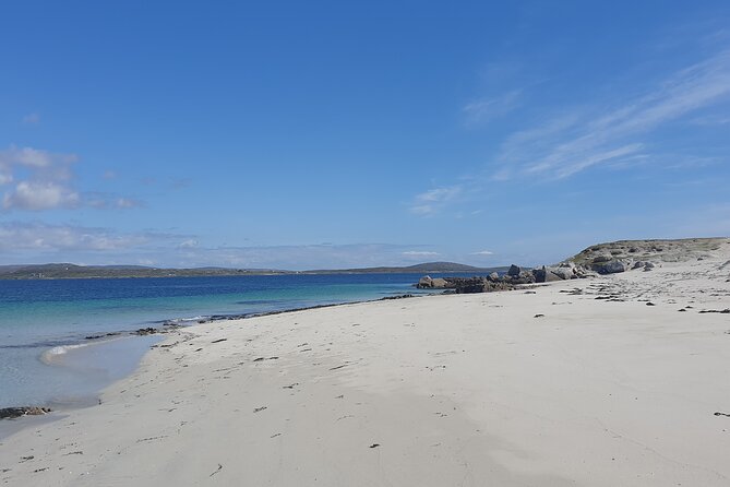 Deserted Island Private Landing Tour - Inishlacken itself: beaches, walking time, and wildlife watching
