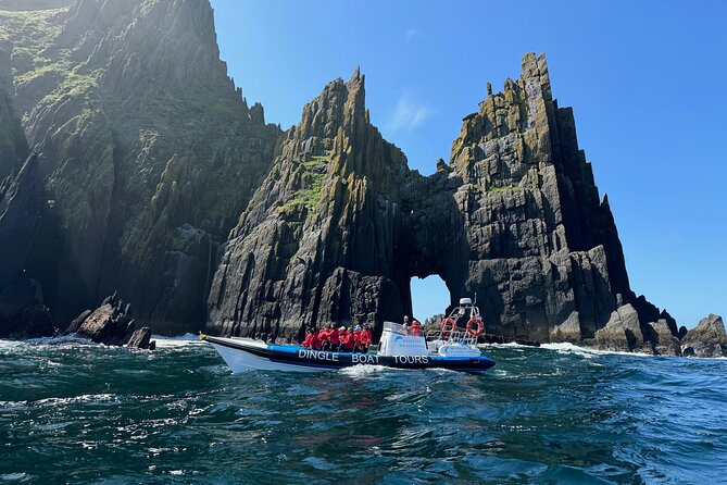 Dingle Boat Tours RIB Adventure Private - Key takeaways before you book
