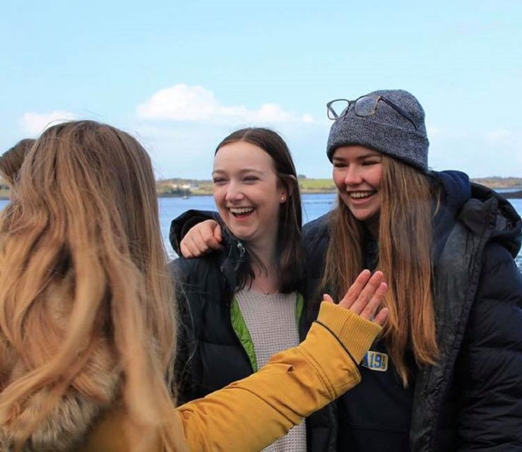 Dingle Day Tour from Limerick - Slea Head drive: the most westerly driving thrill in Europe