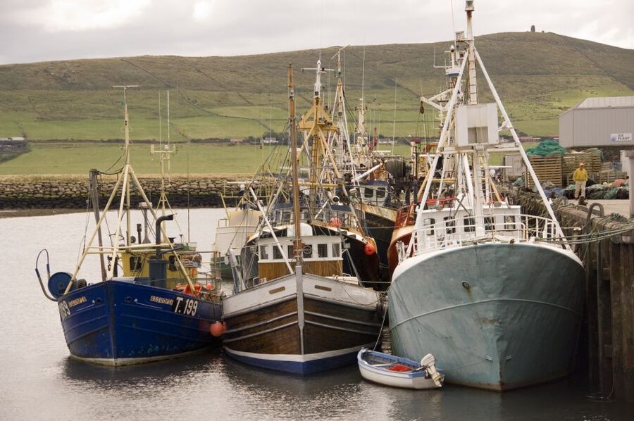 Dingle Day Tour from Limerick - What a 9-hour guided day is like, and how to prepare