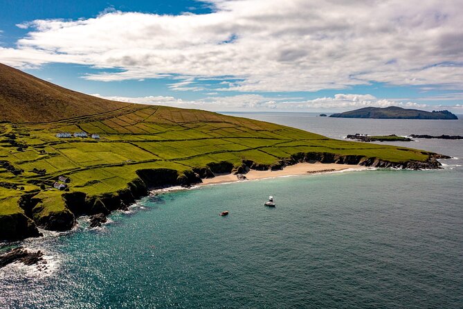 Dingle Dolphin Blasket Adventures - Key things I’d watch for on this cruise