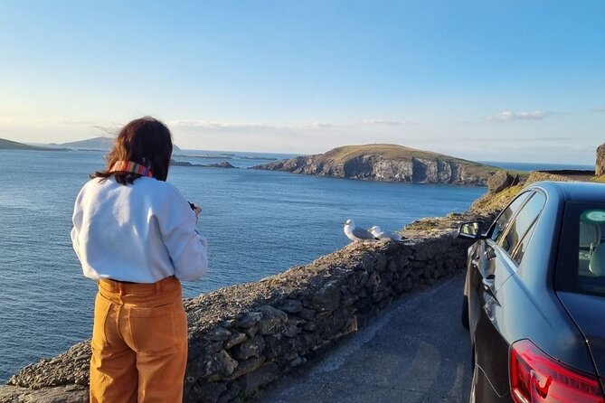 Dingle: Hour Slea Head Drive Tour 4hr - Personal Chauffeur Guide - Why the Slea Head Drive loop feels perfect in 4 hours