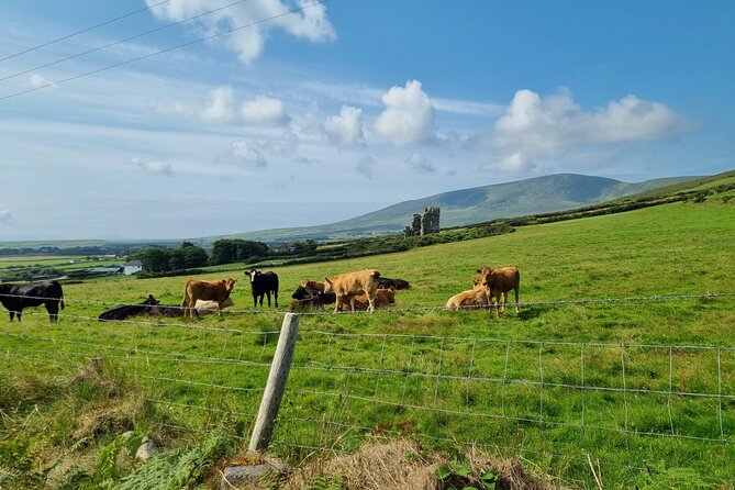 Dingle: Hour Slea Head Drive Tour 4hr - Personal Chauffeur Guide - Clogher Strand and the Ceann Sratha viewpoint: quick stops that add up
