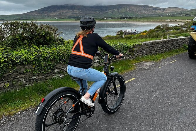 Dingle Peninsula by eBike: Must-Do Half-Day Activity! - Dingle village, then back out for the wider peninsula drive