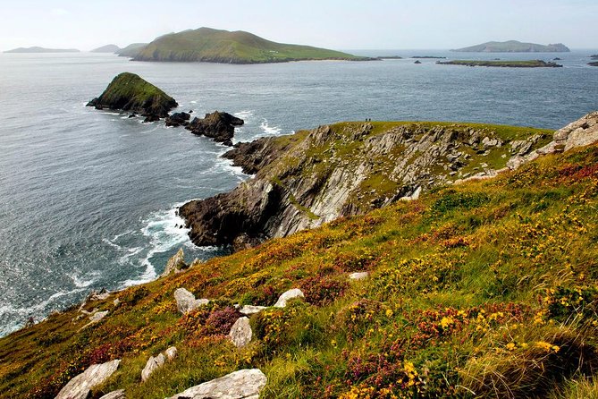Dingle Peninsula Day Tour from Cork: Including The Wild Altanic Way - Slea Head Drive on the Wild Altanic Way, Where the Coast Gets Dramatic