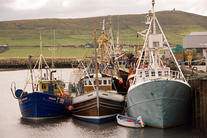 Dingle Peninsula Day Tour from Limerick: The Wild Atlantic Way - Key things that make this tour worth considering