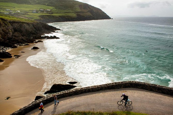 Dingle Peninsula Day Tour from Limerick: The Wild Atlantic Way - Dingle village in about 90 minutes: pubs, Fungi the Dolphin, and where you can really snack