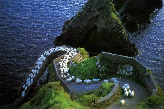 Dingle Peninsula Four Hour Private Tour - Slea Head Drive: cliffs, beaches, and a fast hit of the area’s past