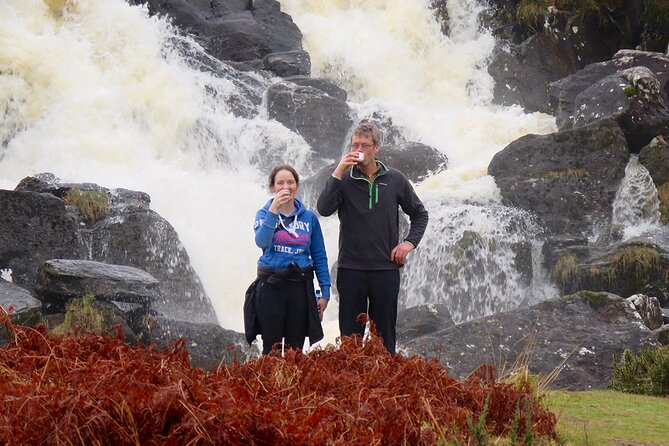 Dingle Peninsula Guided Walking Tour - Key highlights worth knowing