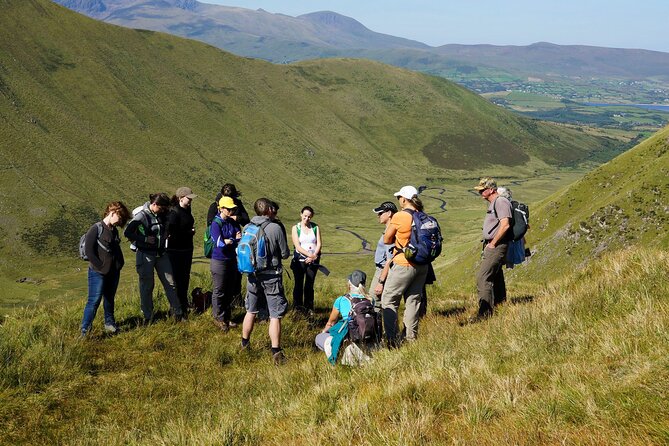 Dingle Peninsula Guided Walking Tour - Logistics that make the morning easier than you’d expect
