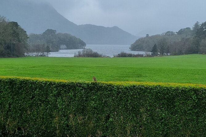 Dingle Peninsula Private Minibus Day Tour of the Fields of Gold - Price and Value: What $1,036.05 Per Group Really Means