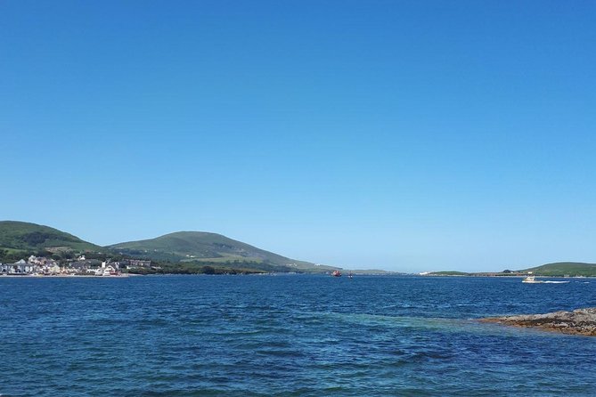Dingle Peninsula & Slea Head - Private Mini Bus Tour - Reask monastic ruins: small remains, big sense of layout