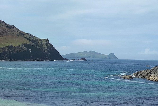 Dingle Peninsula & Slea Head - Private Mini Bus Tour - Dingle town time: port charm, shops, and a dolphin statue