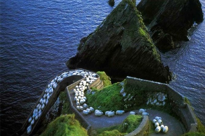 Dingle Peninsula Tour from Killarney: Including Wild Atlantic Way - Why This Dingle Peninsula Tour Starts With Real Convenience