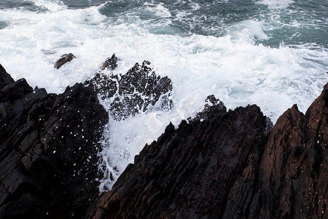 Dingle Peninsula Tour from Killarney: Including Wild Atlantic Way - Live Commentary and On-Board Features: Helpful, But Not Guaranteed Perfect