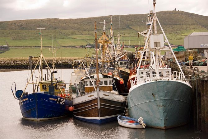 Dingle Peninsula Tour from Killarney: Including Wild Atlantic Way - Price and Value: What You Pay For, What You Need to Bring