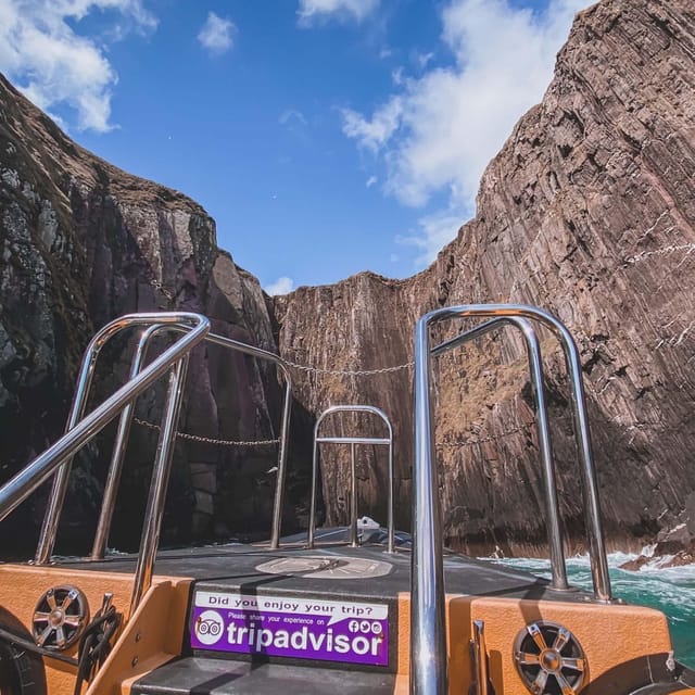 Dingle: Sea Safari by RIB Boat - Key highlights worth planning for
