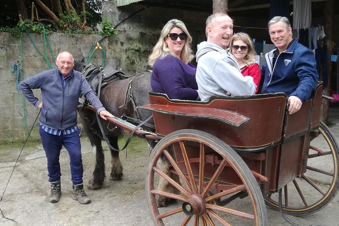 Dingle Town & Peninsula Private Chauffeur Driven Day Tour From Killarney Luxury - Gallarus Oratory, Conor Pass views, and Cashel Murphy on Slea Head Drive