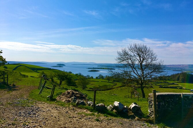 Discover Connemara Tour by Electric Fat Tyre Bike - Key things I’d zero in on before you book