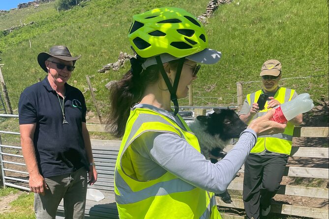 Discover Connemara Tour by Electric Fat Tyre Bike - Price and value, what you get for $226.76 per person