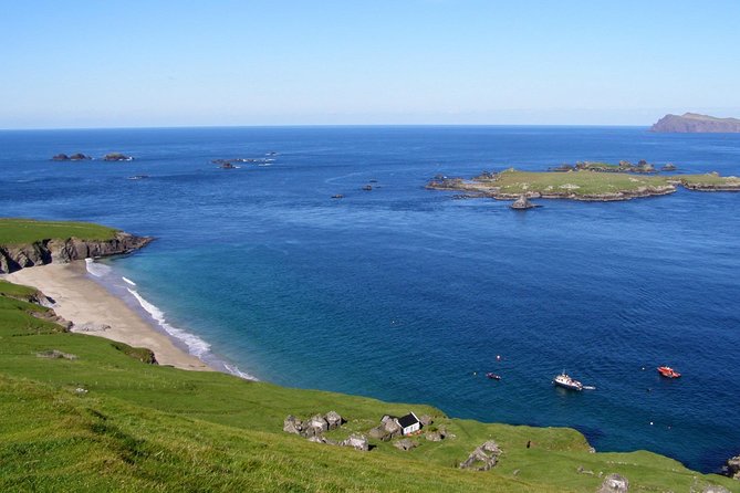 Dolphin and Whale Watching Tour from Dingle - M.V. Blasket Princess: seating choices that actually matter for wildlife viewing