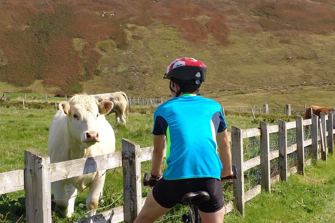 Donegal Coast One Day Self-Guided E-Bike Tour - Silver Strand Beach: sheltered sand and a reset for your legs