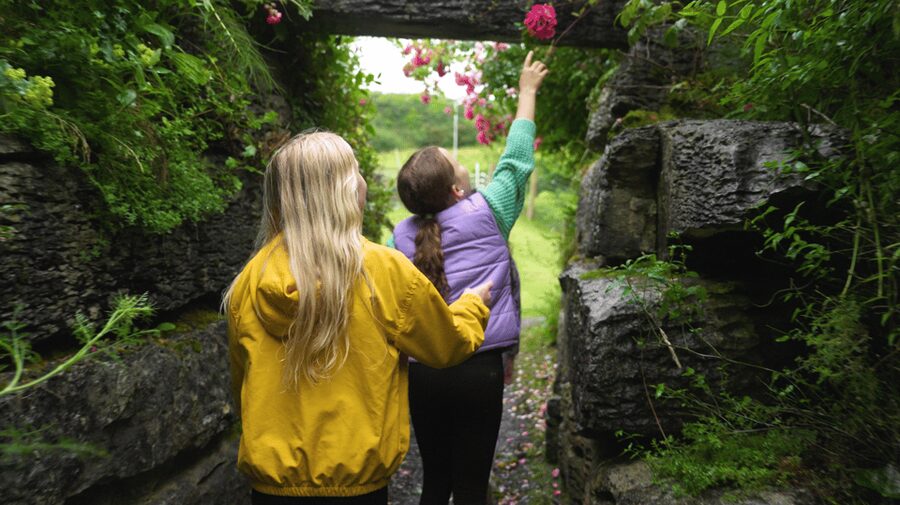 Doolin Cave Tour: Experience Europe's Largest Stalactite - Price and value: is $26 worth it?