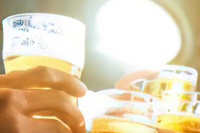 Drinks on Foot: Dublin Traditional Pub Tour - Walking Pace and Group Size: How to Enjoy the Route