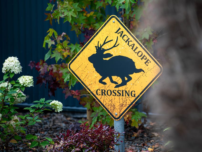 Drumshanbo: The Curious Journey Distillery Tour - Honey Badger Bar and the gin and tonic moment