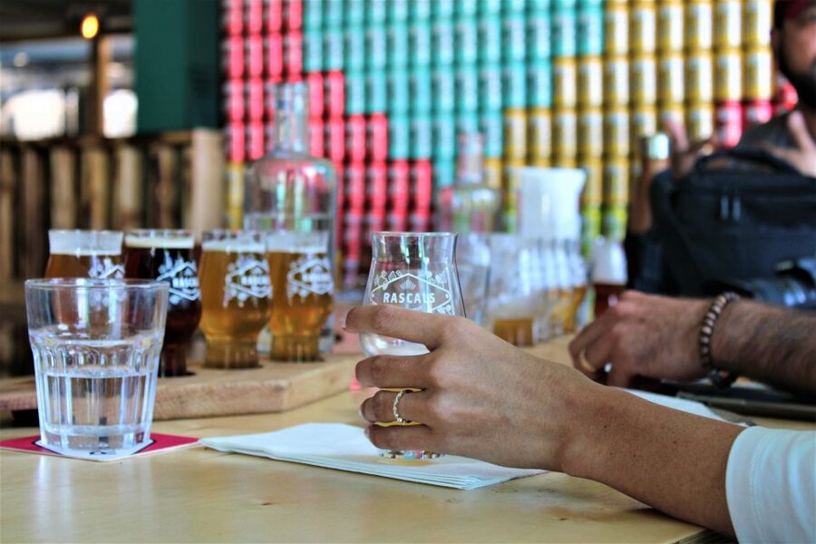 Dublin: Authentic Brewery Tour - Who This Tour Suits Best, and Who Should Think Twice