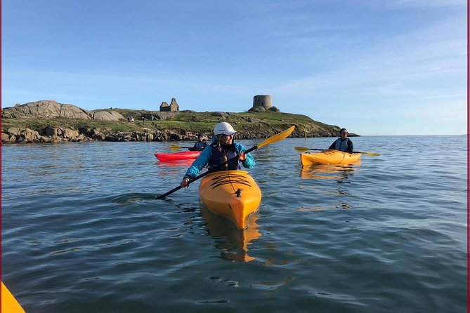 Dublin Bay Seal Kayaking Safari at Dalkey - Key reasons this Dublin Bay seal kayaking safari works