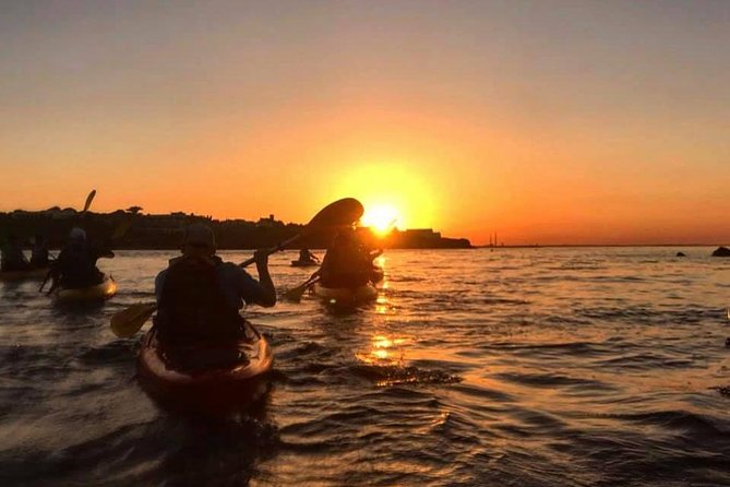 Dublin Bay Seal Kayaking Safari at Dalkey - Safety reality check: swimming comfort and moderate fitness