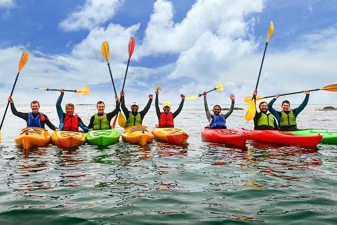 Dublin Bay Seal Kayaking Safari at Dalkey - Wind and waves: why your route might change