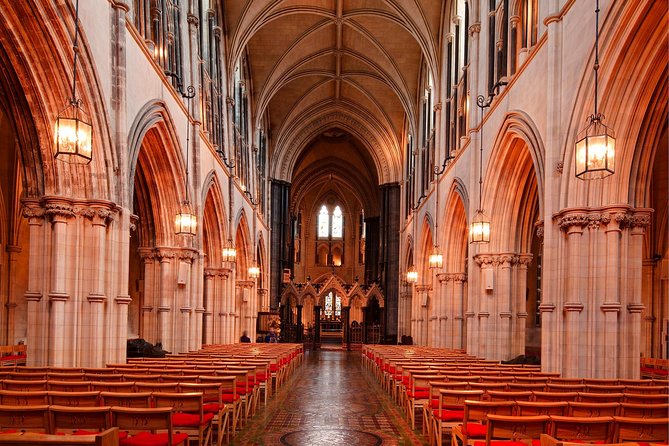 Dublin Christ Church Cathedral Admission Ticket - Crypt treasures you can’t unsee: Magna Carta and the cat-and-rat story