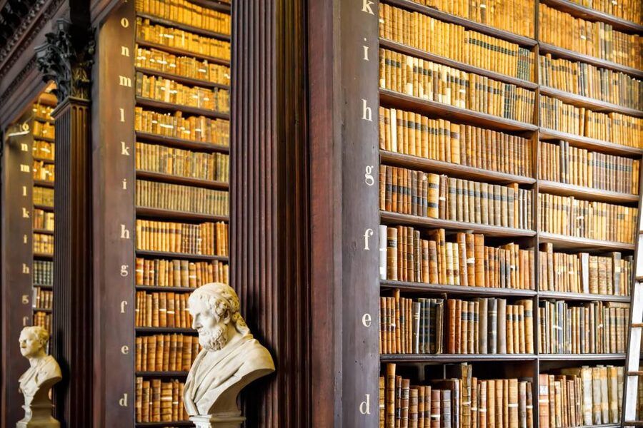 Dublin City Walking Tour, Vikings, St. Partick, Highlights - Price and value: what you really get for around $167