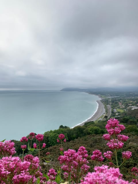 Dublin Coast & Wicklow Mountains: Luxury Private Day Tour - Driver-guide quality: what made this feel genuinely enjoyable