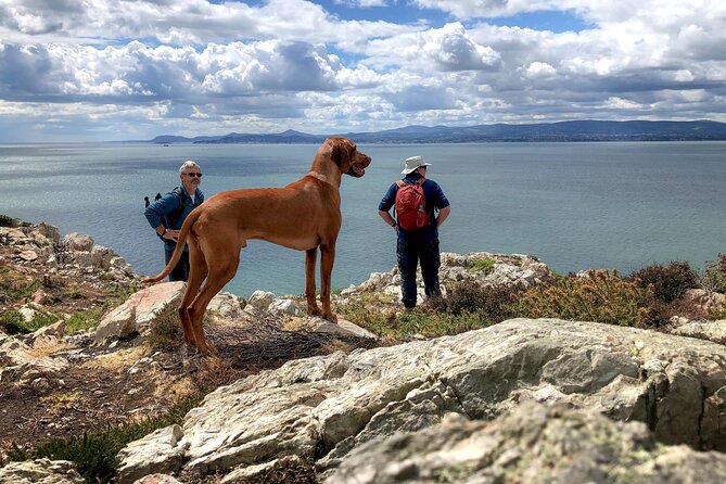 Dublin Coastal Hike with Howth Adventures - Why Howth Feels Like a Different Ireland Than Dublin City