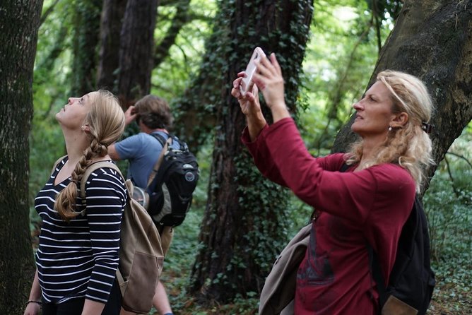 Dublin Coastal Hike with Howth Adventures - St Mary’s Abbey: King Sitric and a Viking-Linked Stop