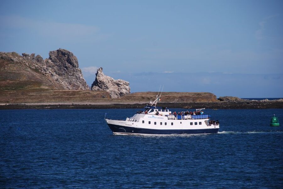 Dublin: Dublin Bay Cruise from Howth to Dun Laoghaire - Key Things to Know Before You Go