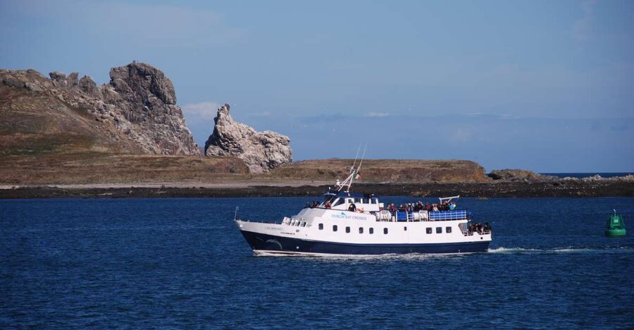 Dublin: Dublin Bay Cruise from Howth to Dun Laoghaire - Why This Howth-to-Dun Laoghaire Cruise Feels Worth It