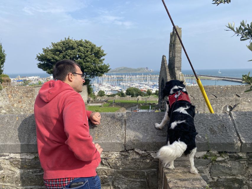 Dublin: Dublin Coastal Hike and Pints & Puppies - Ending With a Complimentary Pint at a Local Pub