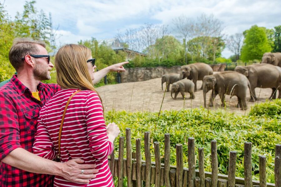Dublin Explorer Pass: Save up to 50% on 3 to 7 Attractions - The 7-Attraction Strategy for Slow Travel