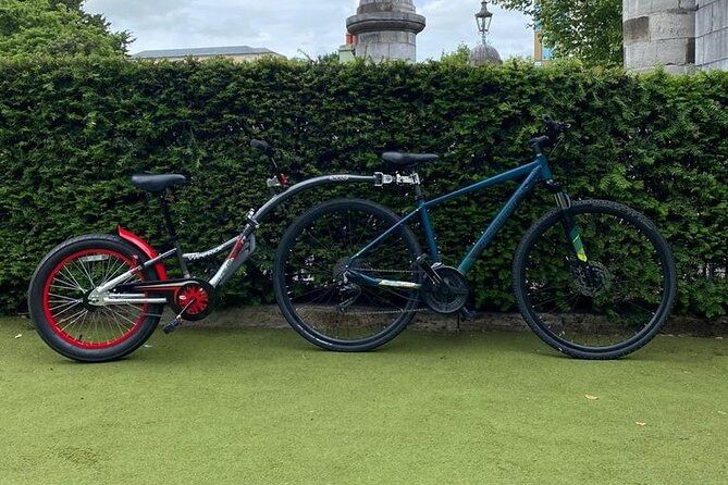 Dublin Full Day Bike Rental - Deer herds and tearoom time: the kind of moments you plan for