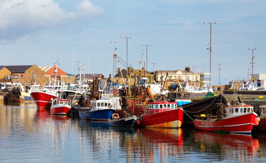 Dublin: Full-Day Howth and Malahide Castle Tour - FAQ