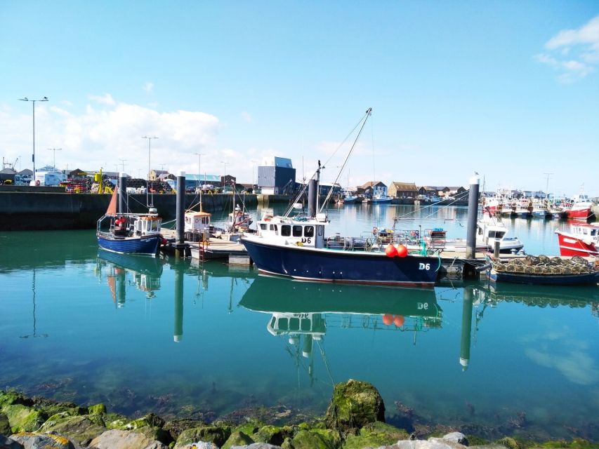 Dublin: Full-Day Howth and Malahide Castle Tour - The bus route back via Bull Island and Santa Ana Park
